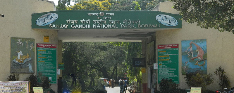 Sanjay Gandhi National Park 